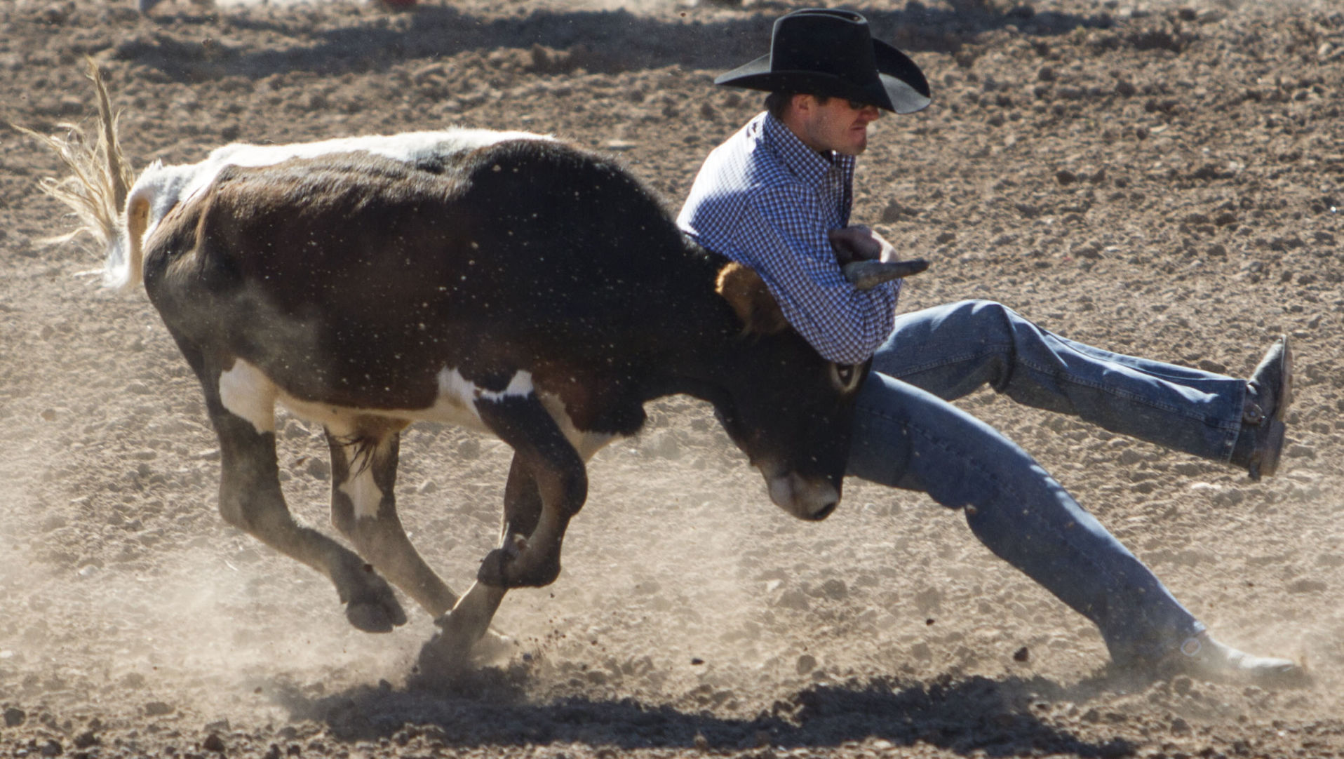 2018 Tucson Rodeo